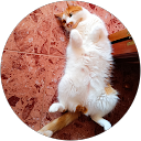 Noelia Arellano profile picture