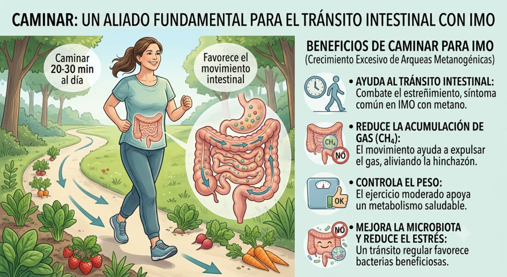 Persona caminando y bebiendo agua como parte de los hábitos saludables que pueden favorecer la recuperación del IMO.